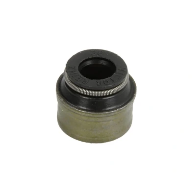 Afbeelding van Reinz Klepsteeldichting 70 31306 00
