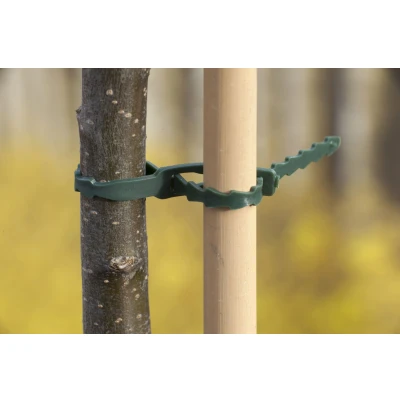 Afbeelding van Nature Universele Bindband Groen Klim En Geleide Artikel 0.2x0.5x35 cm