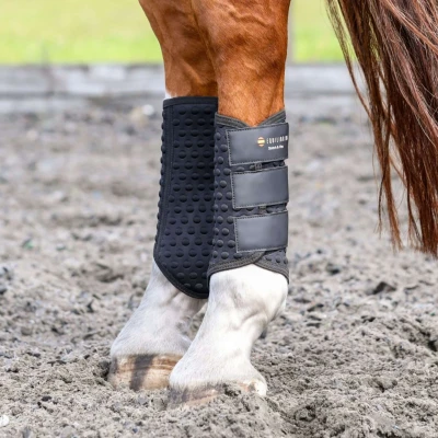 Afbeelding van Equilibrium Beenbeschermers Stretch &amp; Flex Flatwork Zwart M