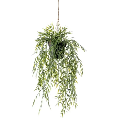 Afbeelding van Hangplant met pot 1 Driesprong Collection