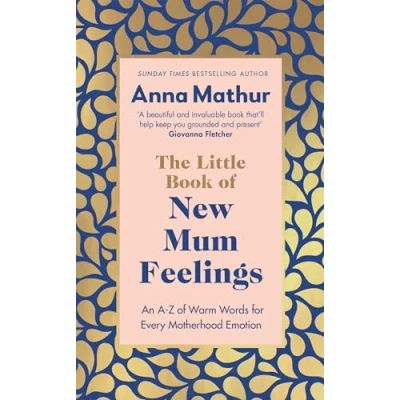 Afbeelding van The Little Book of New Mum Feelings