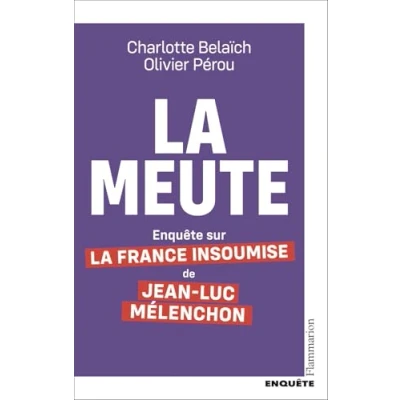 Afbeelding van ENQUETE SUR LFI