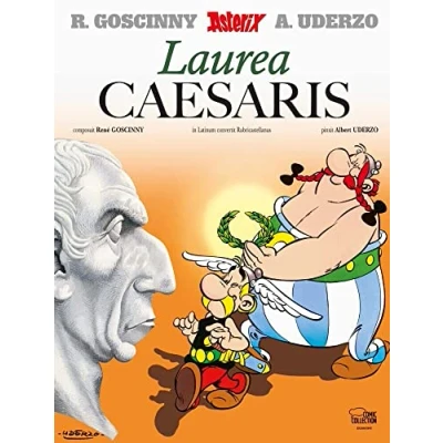 Afbeelding van Asterix latein 24