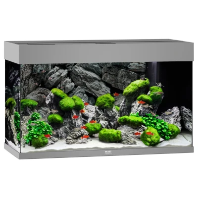 Afbeelding van Juwel Aquarium Rio 125 Led 80x35x50 cm Aquaria Grijs Ca. L