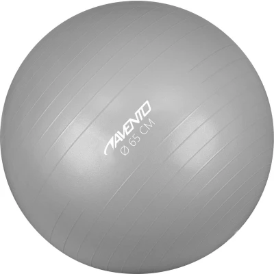 Afbeelding van Avento Fitness/Gymbal Ø 65 cm Zilver
