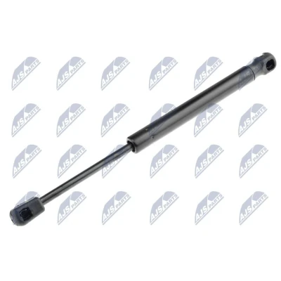Afbeelding van NTY AE NS 016 Gasveer achterklep 580 285