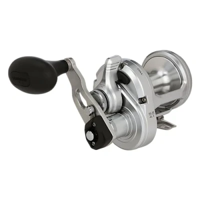 Afbeelding van Shimano Speedmaster Zeevis Reel LD II RH 10