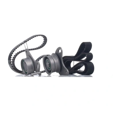 Afbeelding van Ina Distributieriem kit 530 0109 10