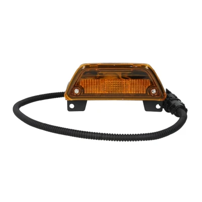 Afbeelding van DT Spare Parts 3.31049 Knipperlichten P21W 24 MAN: L 2000