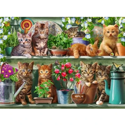 Afbeelding van Legpuzzel Katjes In Het Rek, 500st.
