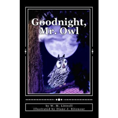 Afbeelding van Goodnight, Mr. Owl
