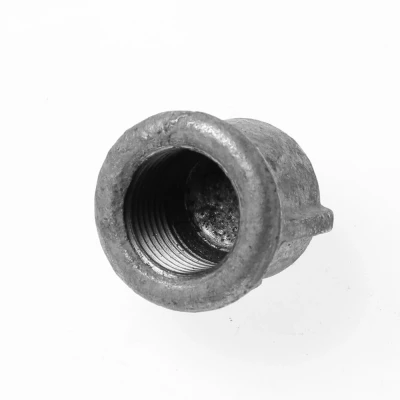 Afbeelding van Installatiebranche Dop no.301 verzinkt 2&quot;