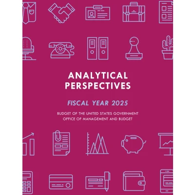 Afbeelding van Analytical Perspectives