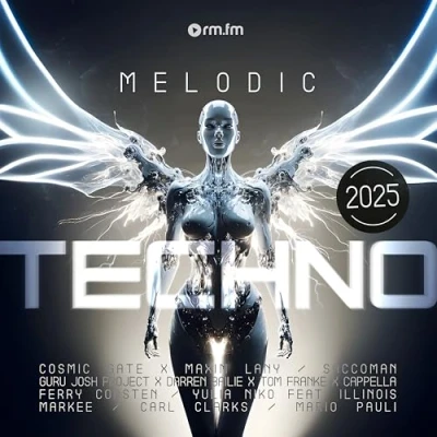 Afbeelding van V/A Melodic Techno 2025 (LP)