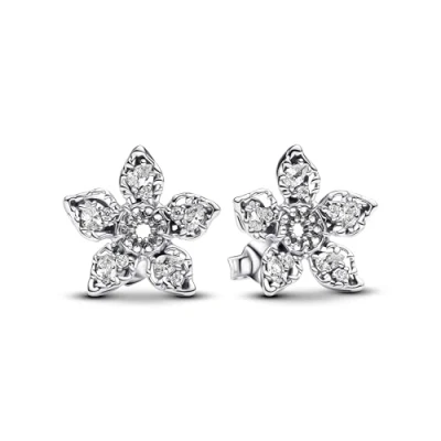 Afbeelding van Pandora 925 Sterling Silver Earrings 293573C01