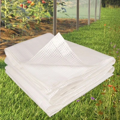 Afbeelding van Bâche armée transparente 4x6 M renforcée