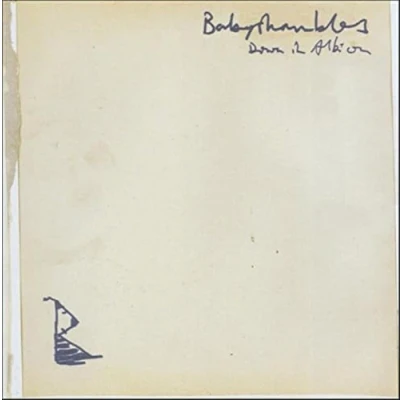 Afbeelding van Babyshambles Down In Albion