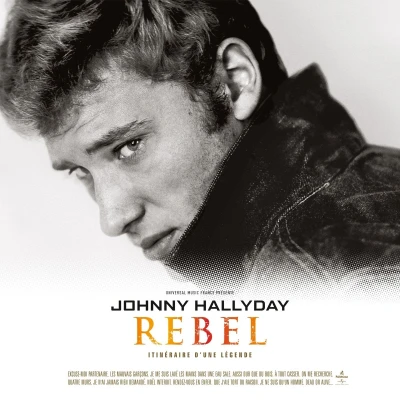 Afbeelding van Johnny Hallyday Rebel (2 LPs)