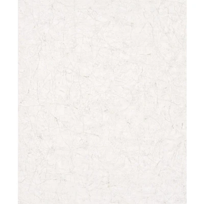 Afbeelding van Vintage Deluxe Behang Stucco Crackle beige en wit