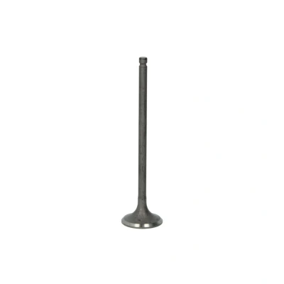 Afbeelding van Uitlaatklep FRECCIA R6541/RNT
