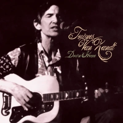 Afbeelding van Townes Van Zandt Down Home (2 LPs)