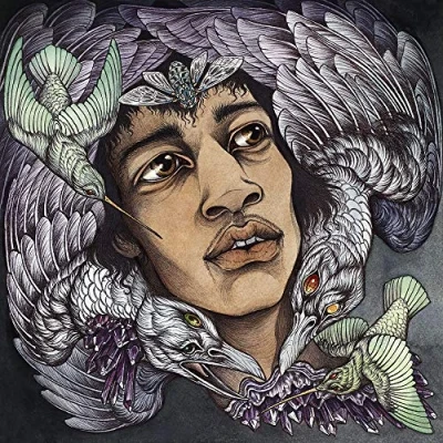 Afbeelding van Best Of James Marshall Hendrix (redux)