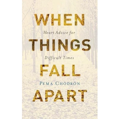 Afbeelding van When Things Fall Apart