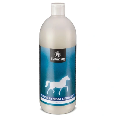 Image de Synovium Liniment MSM Gingembre