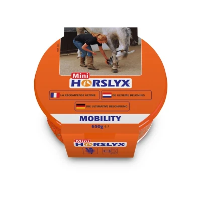 Image de Horslyx Pierre à Lécher Mobility mini 650g
