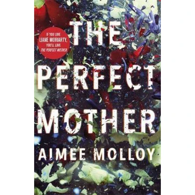 Afbeelding van The Perfect Mother a gripping thriller with nailbiting twist