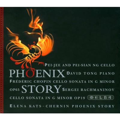 Afbeelding van Phoenix Story