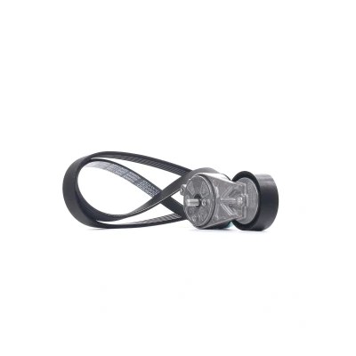Afbeelding van DAYCO KPV384 Poly V riem set FIAT: 500 Hatchback, 500L, Tipo LANCIA: Ypsilon III, Musa