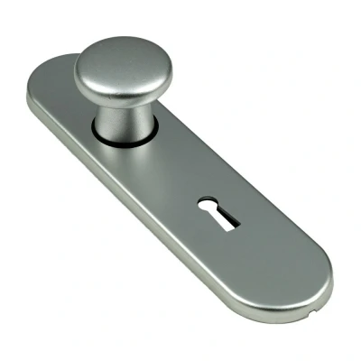 Afbeelding van Ami Knopkortschild diameter knop 40mm ovaal 177x44x6,5mm SLG 72 aluminium F 1