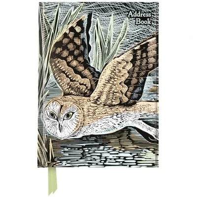 Afbeelding van Flame Tree Address Books Angela Harding: Marsh Owl (Address Book)