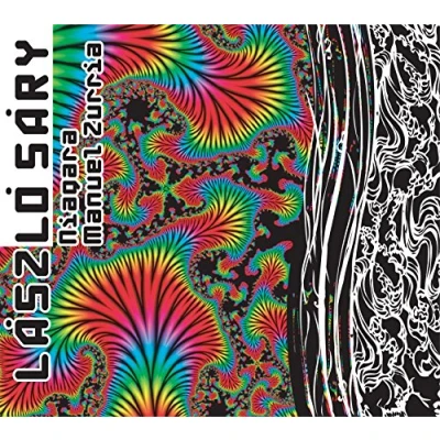 Afbeelding van Laszlo Sary Niagara (CD)