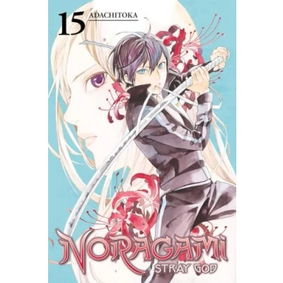 Afbeelding van Noragami Vol 15