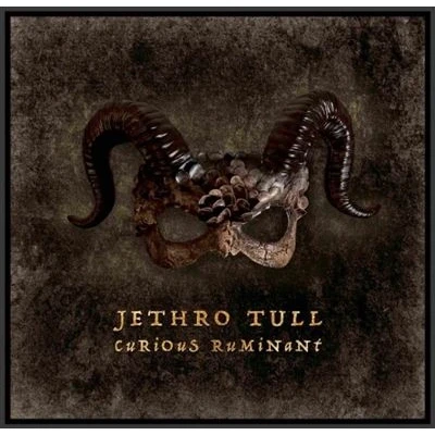 Image de Insideoutmusic Jethro Tull : Curious Ruminant Cd
