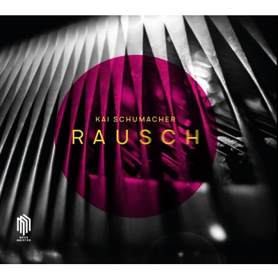 Afbeelding van Kai Schumacher Rausch (CD)