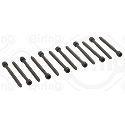 Afbeelding van ELRING 005.610 Cilinderkopbouten Binnenprofiel (Ribe CV) VOLKSWAGEN: Golf 5, 6, AUDI: A3 Sportback