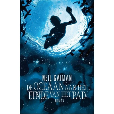 Afbeelding van De oceaan aan het einde van pad