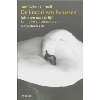 Afbeelding van De kracht van focussen