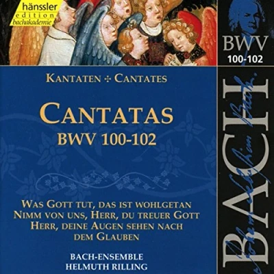 Afbeelding van Bach Ensemble, Helmuth Rilling J.S. Bach: Cantatas Bwv 100 102 (CD)