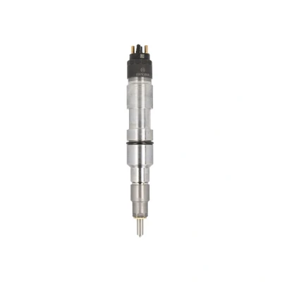 Afbeelding van Bosch Verstuiver/Injector 0 445 120 162