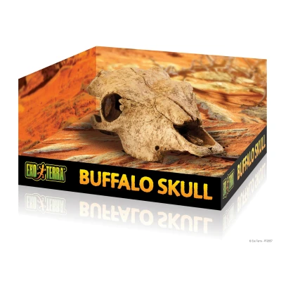 Afbeelding van Exo Terra Schuilplaats Buffalo Skull Ornamenten 23x11x23 cm