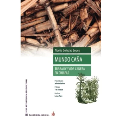 Afbeelding van Paradigma Indicial Mundo ca�a