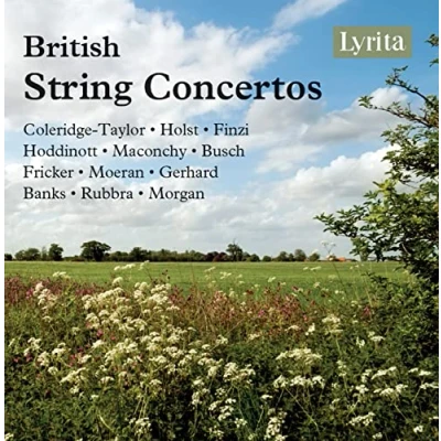 Afbeelding van Various Artists British String Concertos (4 CD)