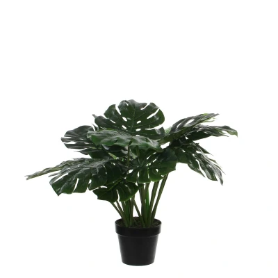 Afbeelding van Mica Decorations Monstera Kunstplant in Pot H50 x Ø70 cm Groen