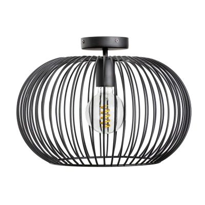 Afbeelding van ETH Wire 2.0 Plafonniere 40 CM Zwart