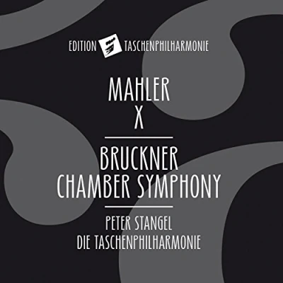 Afbeelding van Die Taschenphilharmonie, Peter Stangel Symphony No. 10/ Chamber (CD)