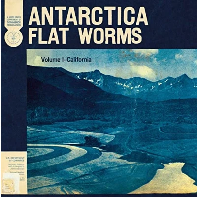 Afbeelding van Flat Worms Antarctica